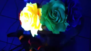 Black Light Cock Sucking