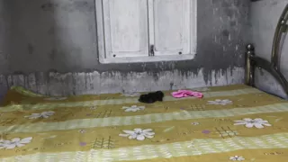 Sexy mood deshi bhabi fuckinggs
