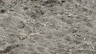 Another Little Bit of Beach