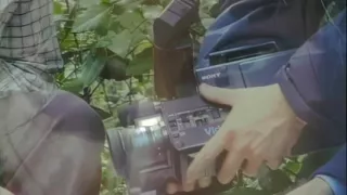 Anal Orgy in the Woods