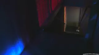 The Trap