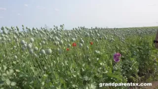Outdoor Sex with Older Couple
