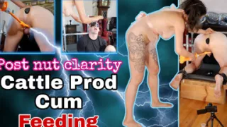 Femdom Cum Eating Instruction or Cattle Prod
