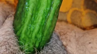 Cucumber time again