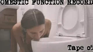 Convenient Toilet Cleaner