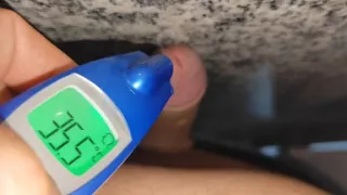 Dick Thermometer Ringing Loudly.