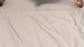 Cumshot Compilation