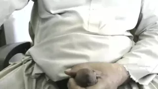 Wet Cock