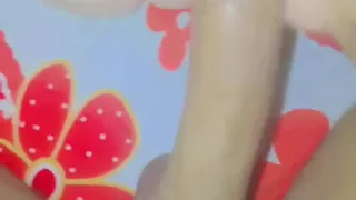 Equipped with a sex toy