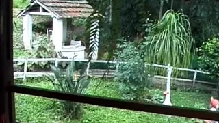 Fantastic Sexy Trans Ass Fucked by Teen with Huge Cock That Cums on Her Ass