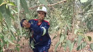 Co Woker Escape From The Job She Went To Finger Herself In The Bush