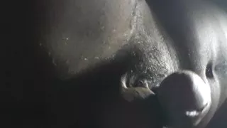 Teasing everyone with my indian body and cock