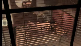 Having sex with my friends sister