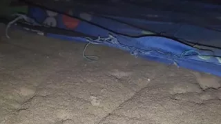 slutty wife cheating on her husband with the neighbor.