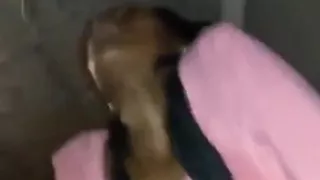 She Rides Like a Pro