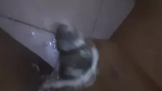 Desiboys47 P2 desi boy in bathroom 2026