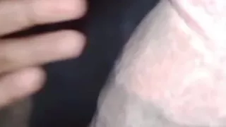 Sudanes cock