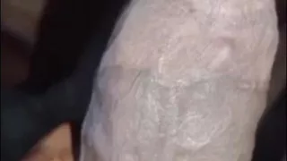 Sudanes cock dark