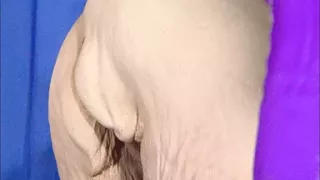 Keep Going Stepdaddy I'm About to Cum and Then Some