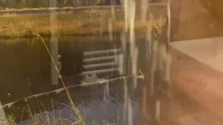 Showering with glans