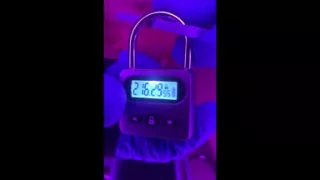 Lunathesissy's Debut 10 Day Chastity Lockup