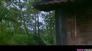 Blonde and Brunette MILFs in Passionate Outdoor Lesbian Sex