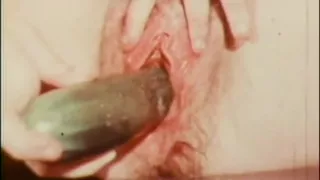 Sweet young vintage girl take a big cock