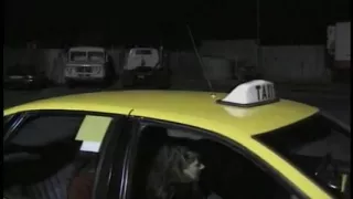 Two Horny MILFs Share One Lucky Cock