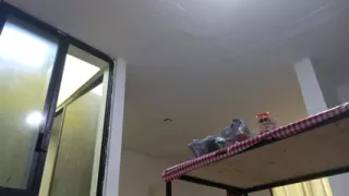 She sends me a video while she walks in the kitchen in a cachetero