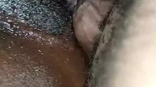 Pussy Sound Like Mac & Cheese(missionary POV)
