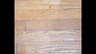Solo Cumshot compilation