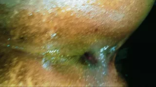 Big sister's ass fucked, after taking the whole cock in the ass from the, started screaming in Hindi audio doggy style
