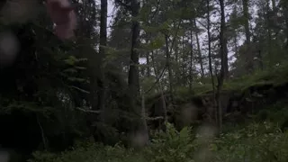 Sairrodne