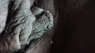 Breathing pussy
