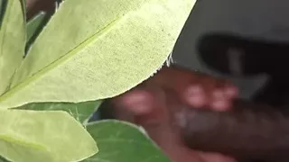 Muscline Hairy Big Black Cock Hairy Ass