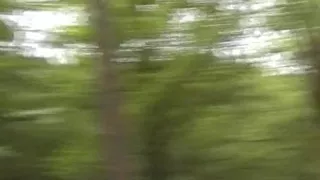 Two Cute German Babes Playing Together in Outdoor Session