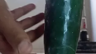 Sitting on the Cucumber