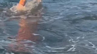 Try Not to Wet My Hair While Play with the Waves