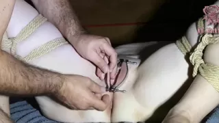 Shibari