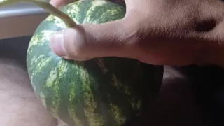 The watermelon is so sweet and juicy my penis liked it!