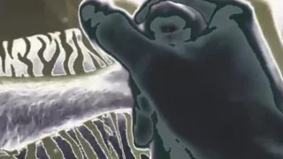 Typeek
