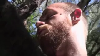 Lords of the Jungle