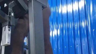 I Really Enjoyed Being Alone at the Gym if You Like That Sort of Thing.