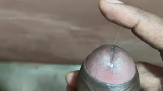 Pushpabhabhi Porn