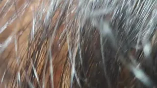 Supping every last drop