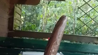 Sissy Ride in Dildo