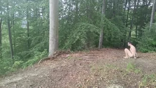 Forest Exhibition: a Banished Bird in a Beech Forest