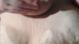 Jump up and Down Bitch I Want to Cum in Your Mouth with My Dick