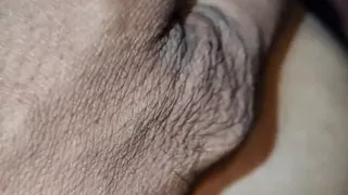 X Videos