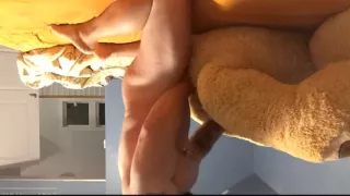 I Fuck My Teddy Missionary